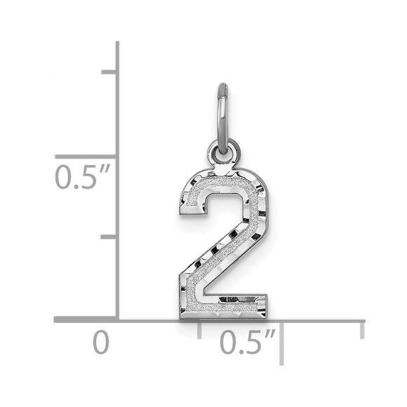 14k White Gold, Varsity Collection, Small D/C Pendant, Number 2 - Picture 4 of 5